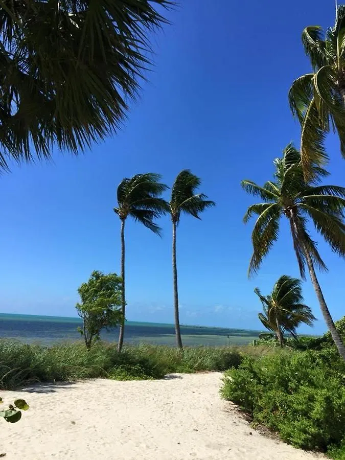 The Grande Vista Apartment Key West
