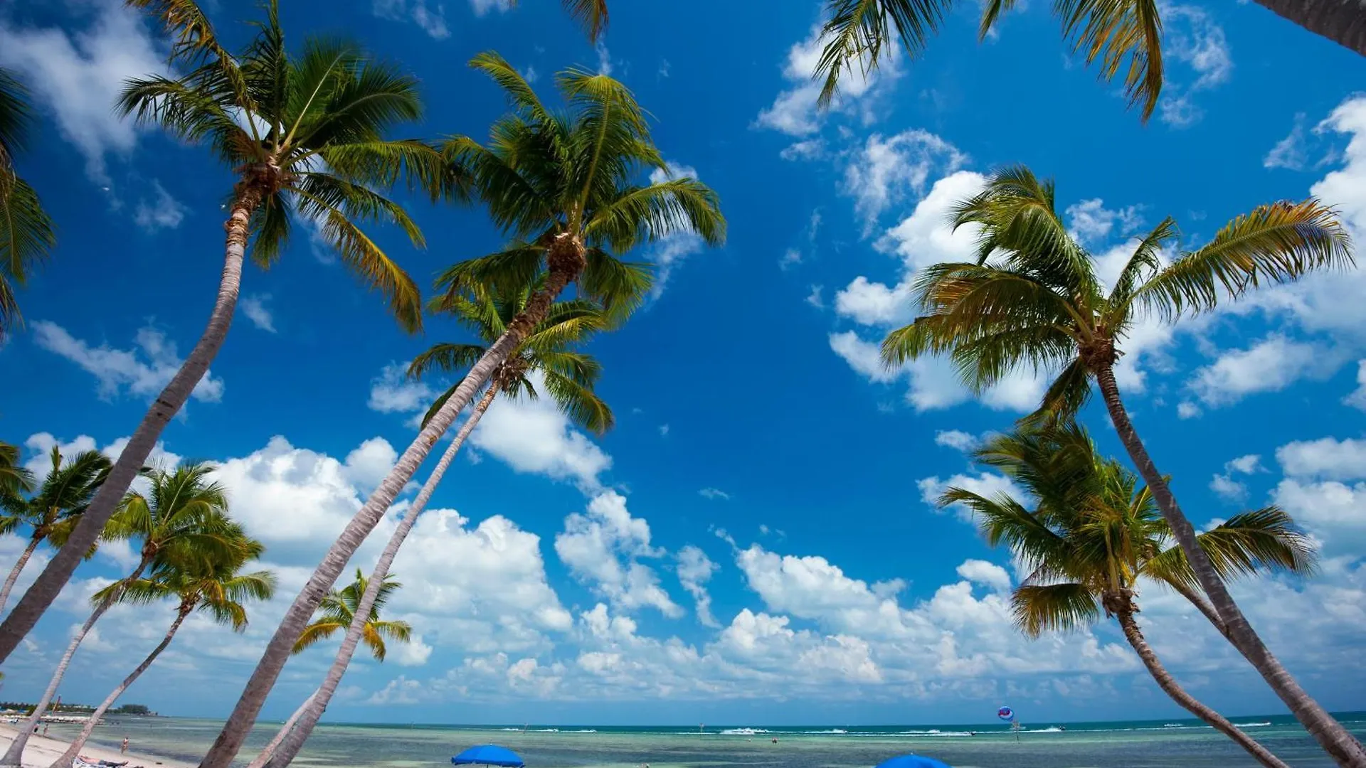 The Grande Vista Apartment Key West